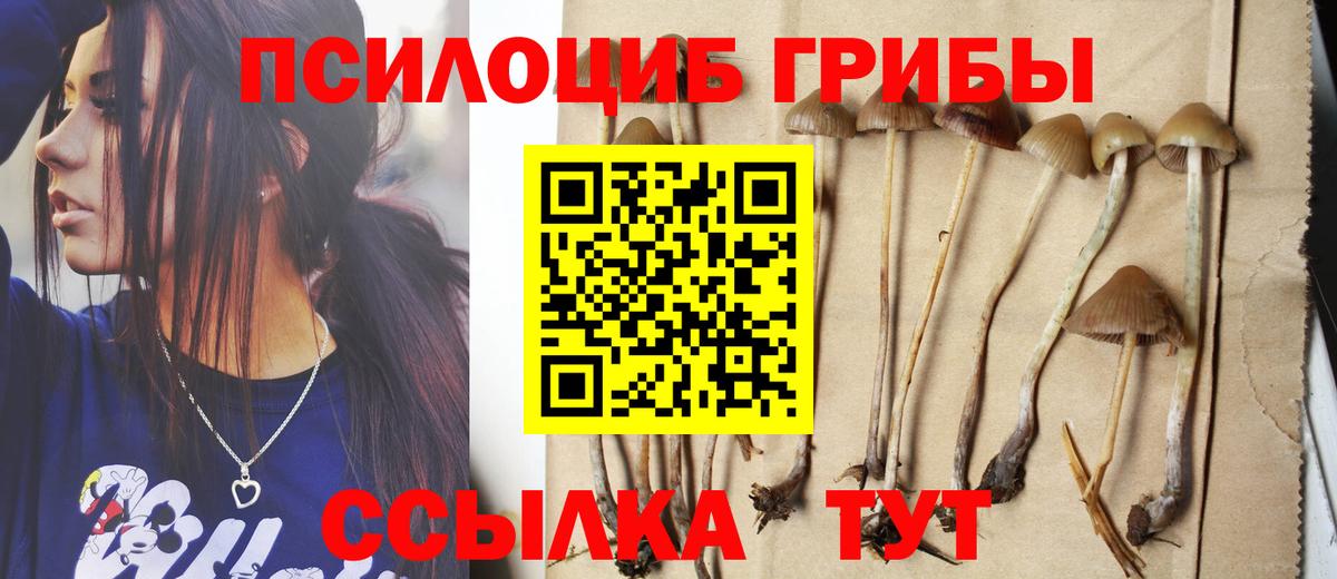Галлюциногенные грибы ЛСД Чехов